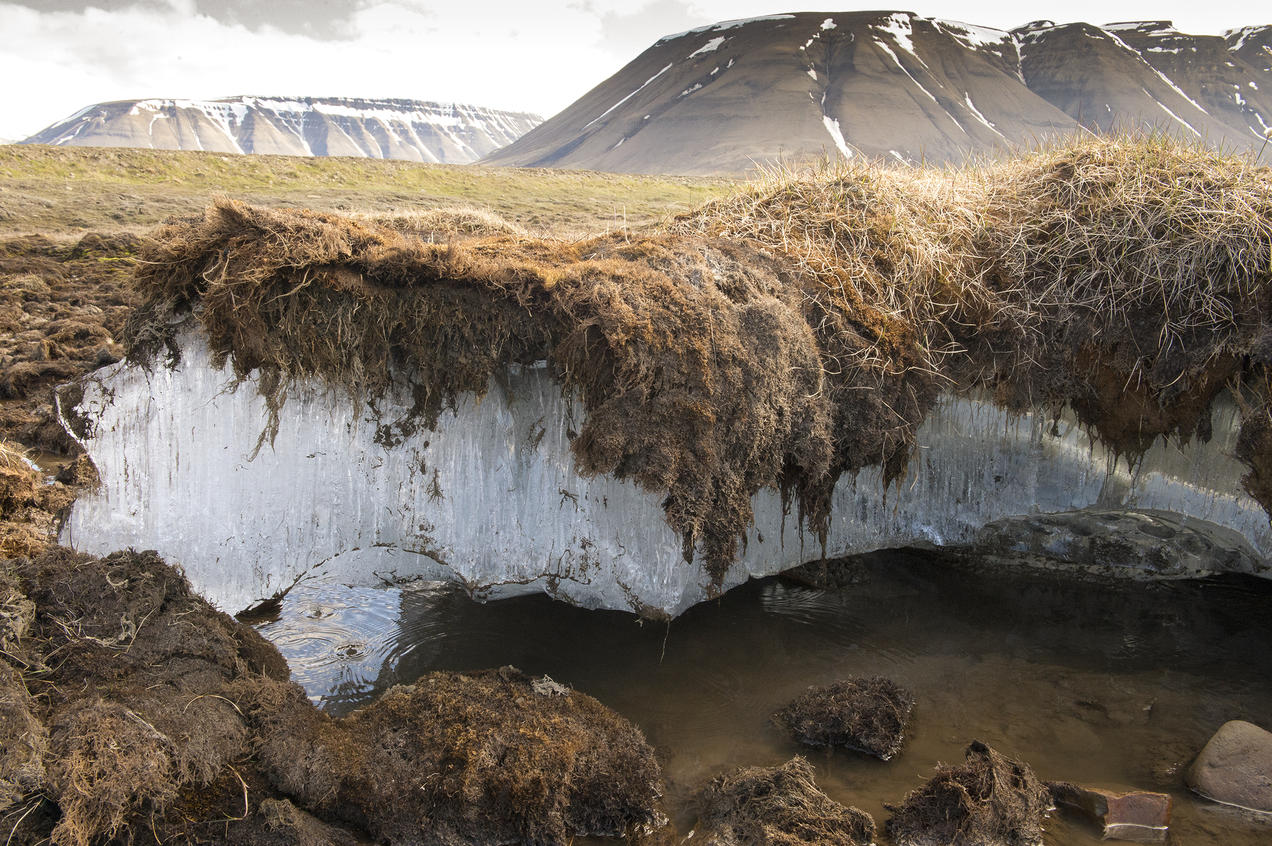 Alaskan Village Faces Imminent Relocation Due to Climate Change