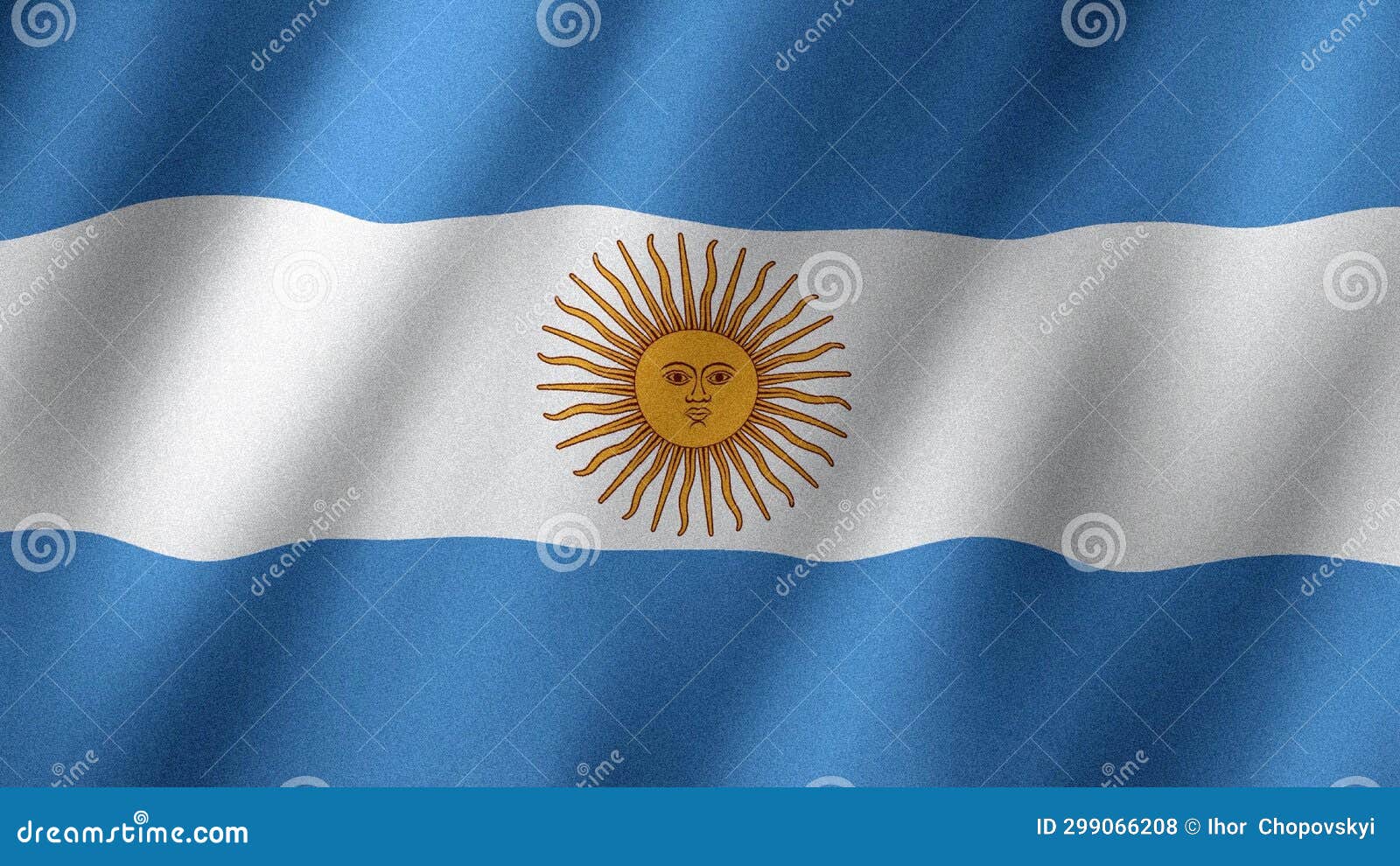 Argentina's Economic Reforms: Surpluses and Social Costs