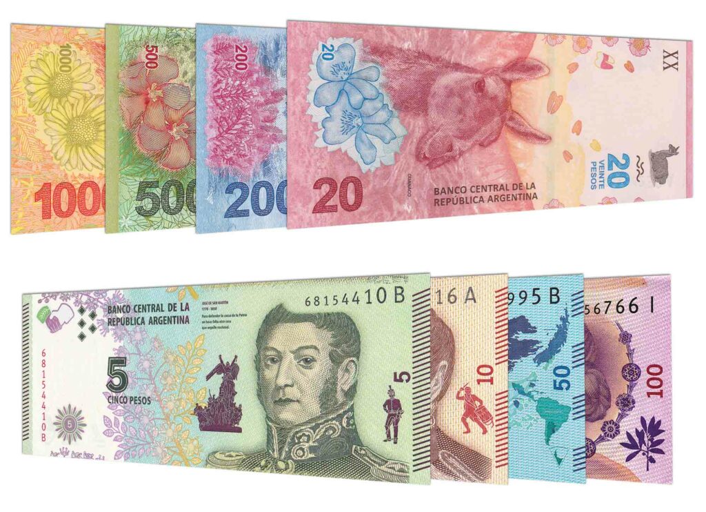 Argentina Province Creates Own Currency to Combat Economic Crisis