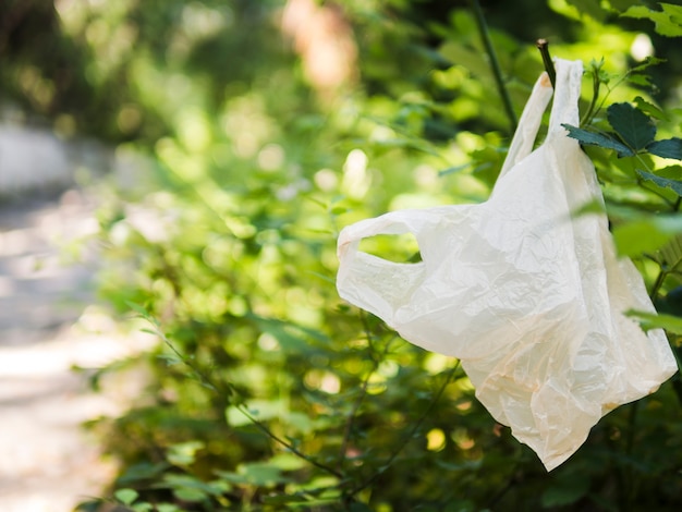 California Bans Plastic Bags Again, This Time for Good