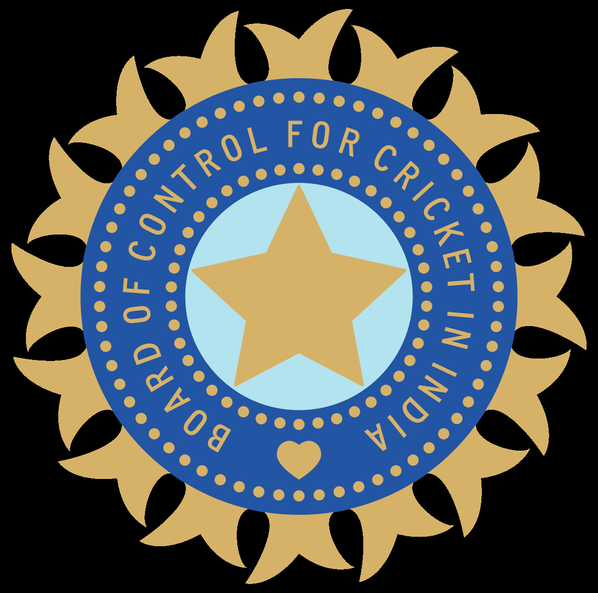 India's Cricket Team: Camaraderie and Innovation Fuel Championship Quest